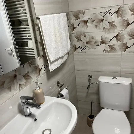Holiday home Вила Кичево *