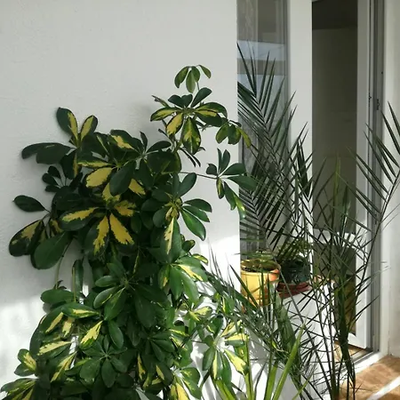 Holiday home Вила Кичево *